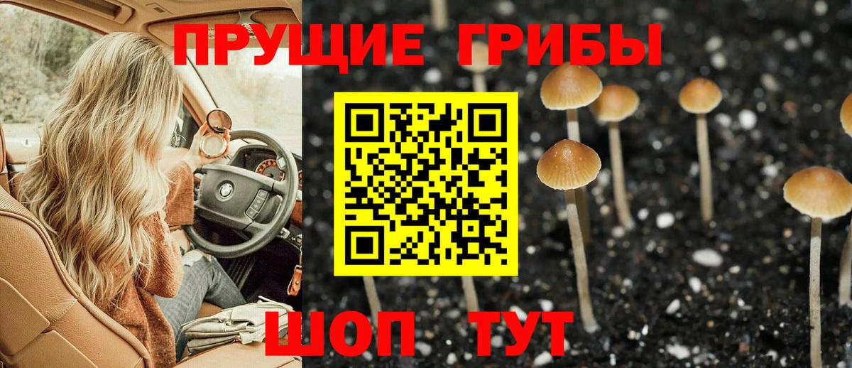 Галлюциногенные грибы ЛСД  Вход с VPN  Галлюциногенные грибы мицелий  Рязань 